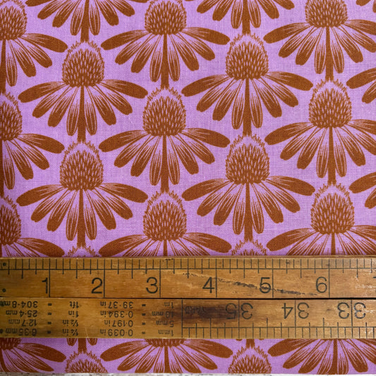 Indelible Coneflower in Taffy - Vintage