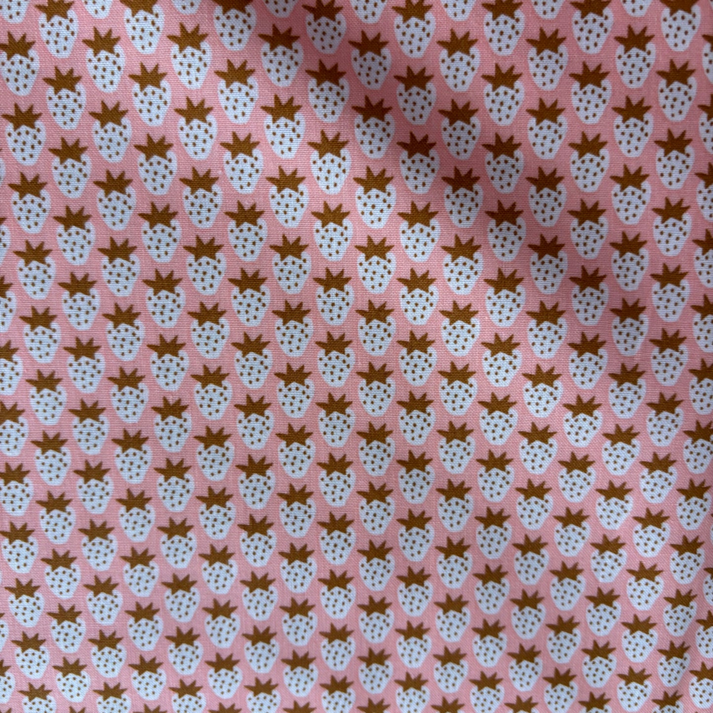 Paintbox - Strawberry