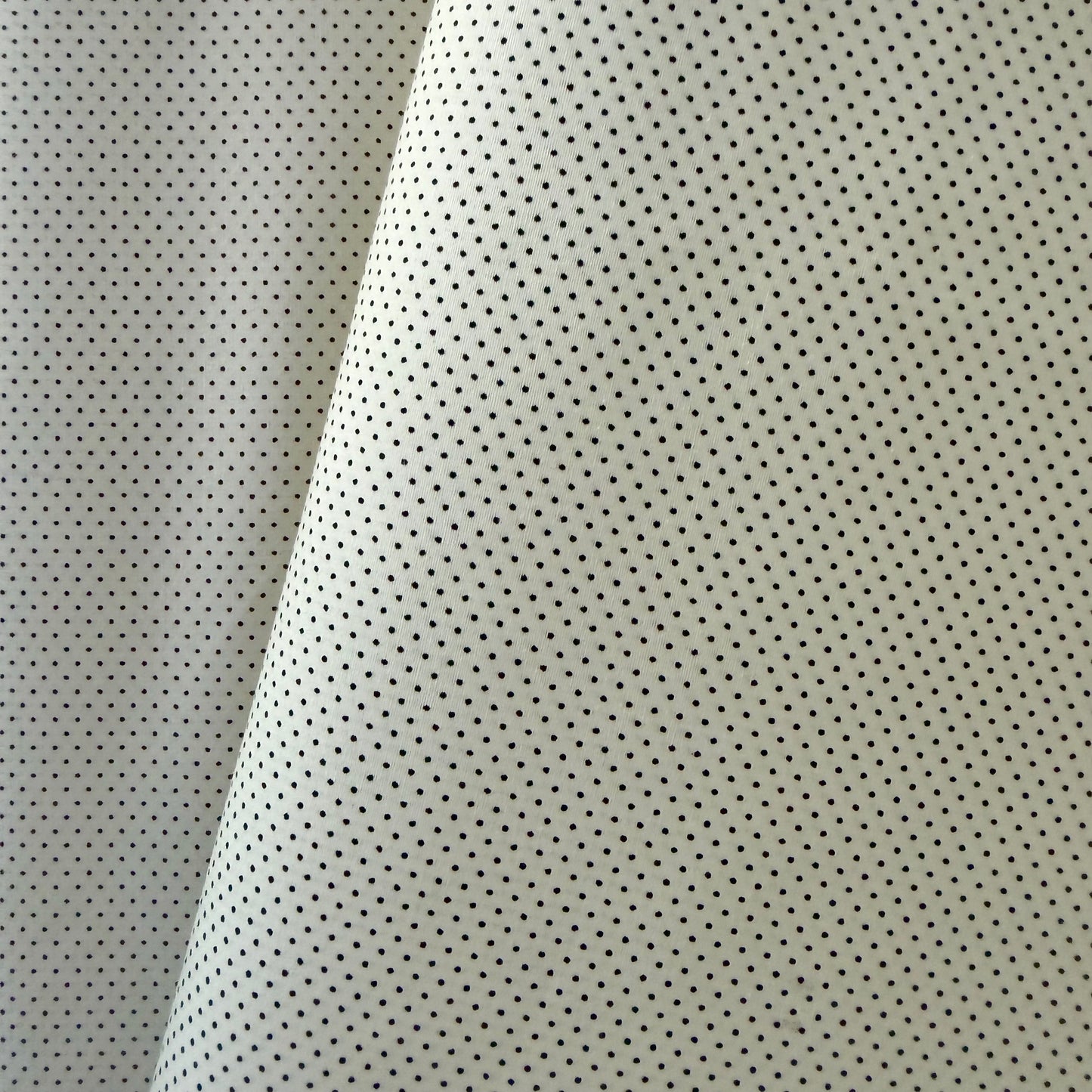 Black Pin Dot on Cream