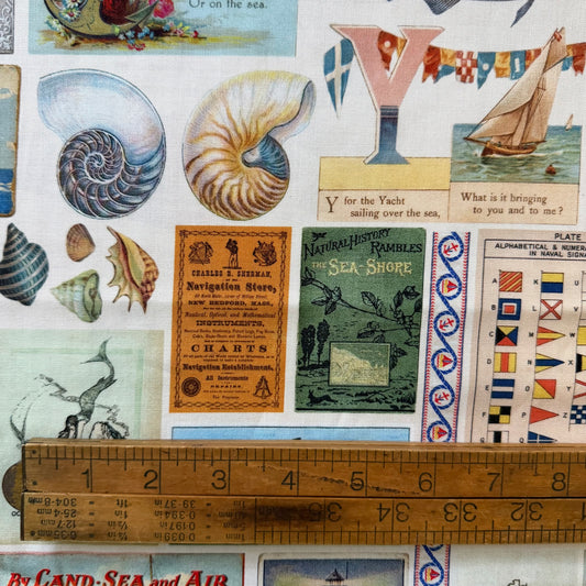 Saltwater - Cathe Holden