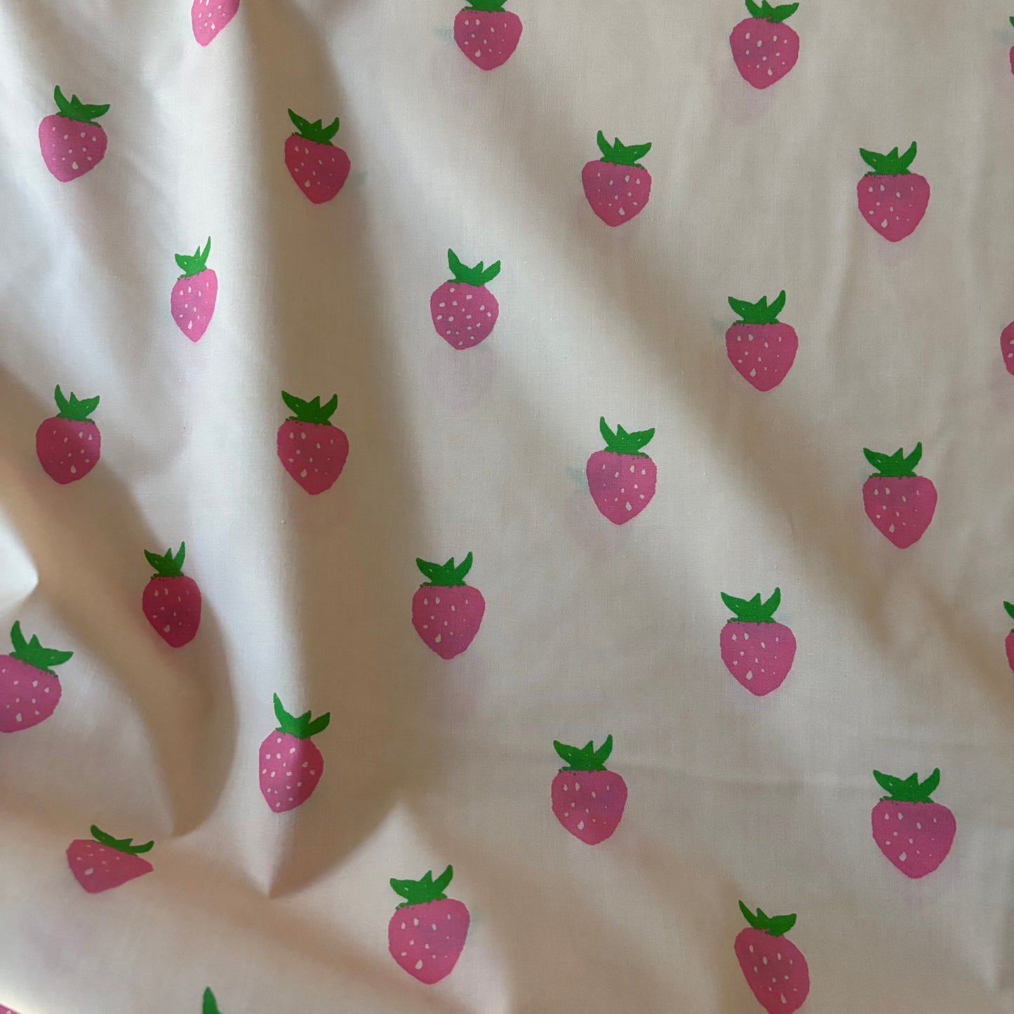 Heather Ross Meadows Quilt Back - Berry in Ecru - 108” wide