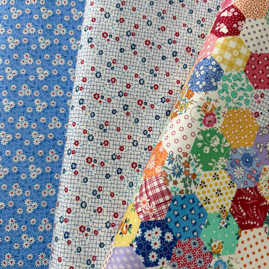 Aunt Grace Goes Scrappy by Judie Rothermel for Marcus Fabrics - Daisy - Blue