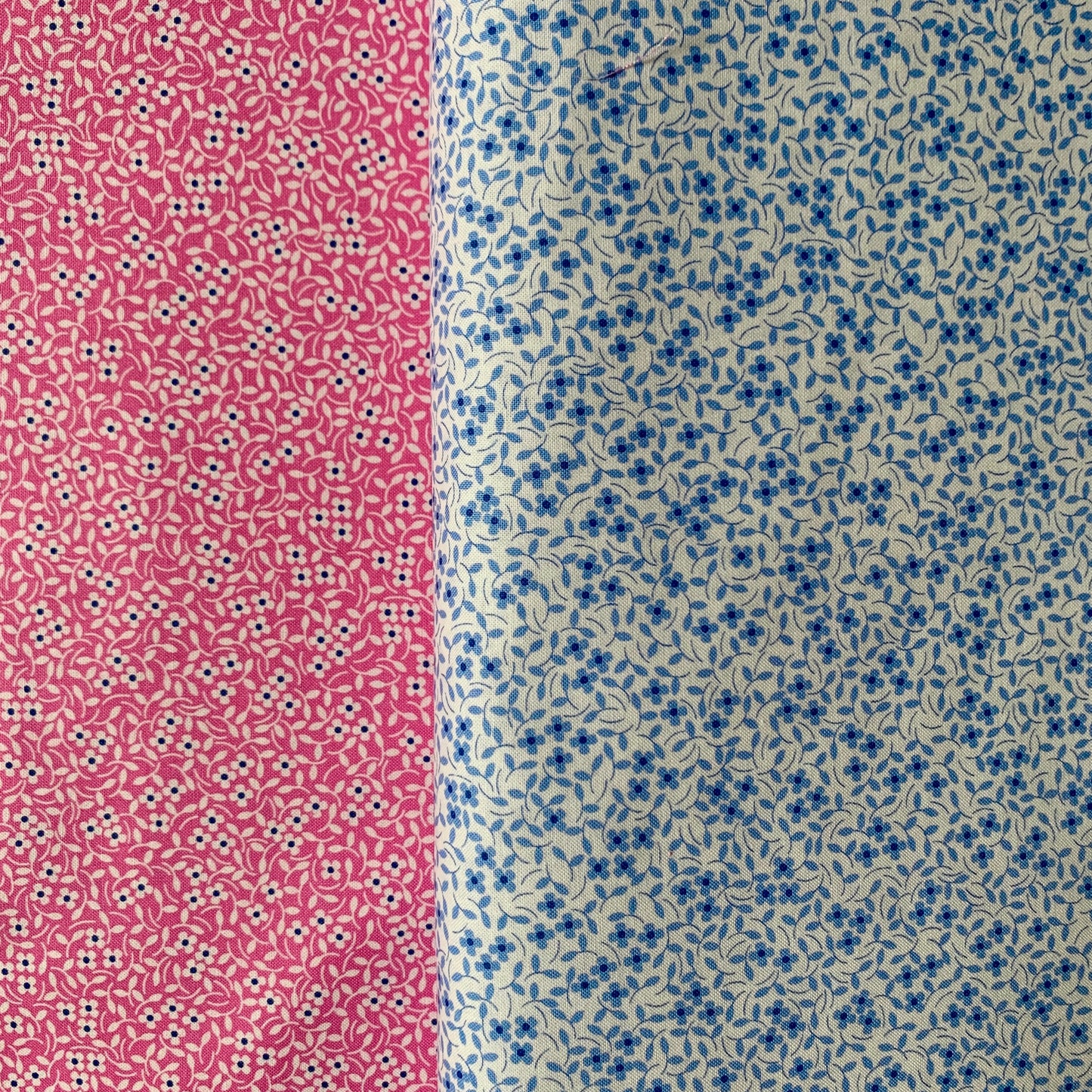 Cali Co Carnation - (M2919343)
