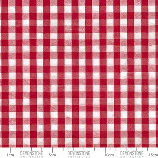 1/4” Gingham - Red