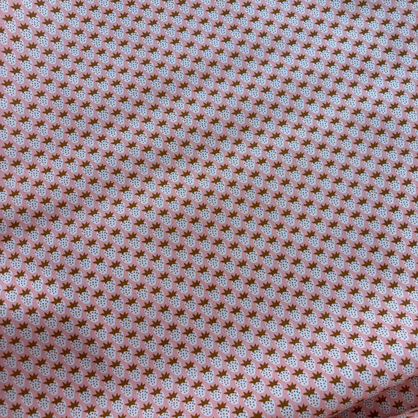 Paintbox - Strawberry