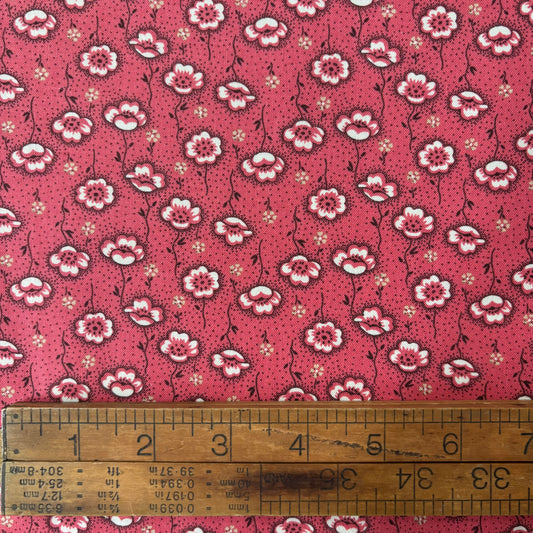 Farmhouse - Poppy Stems Coral