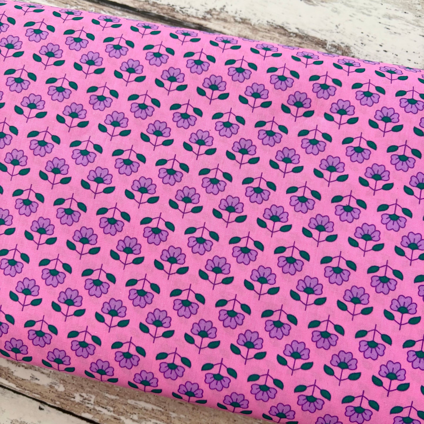 Alisha Pink - Petit Pan