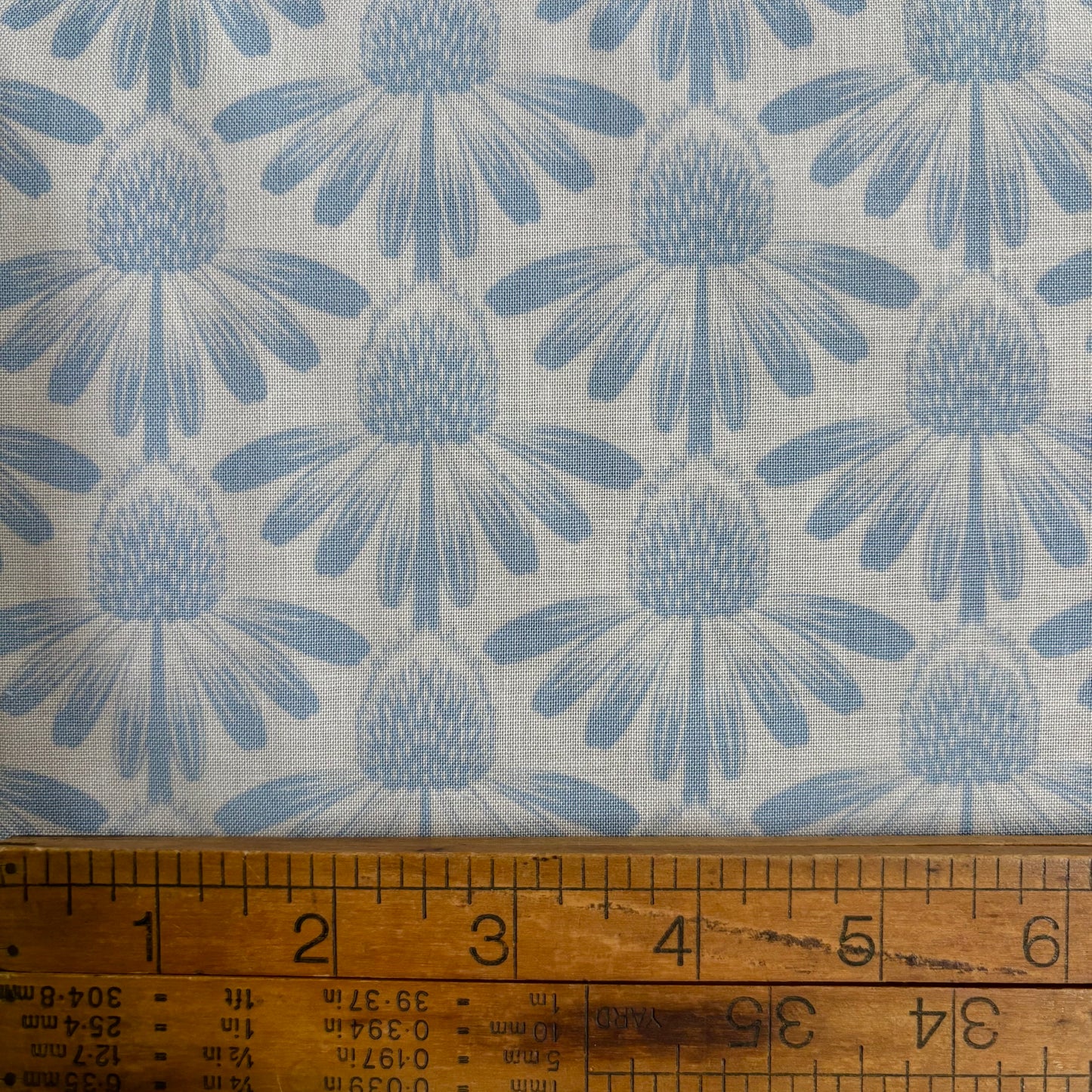 Indelible Coneflower in Sky - Vintage