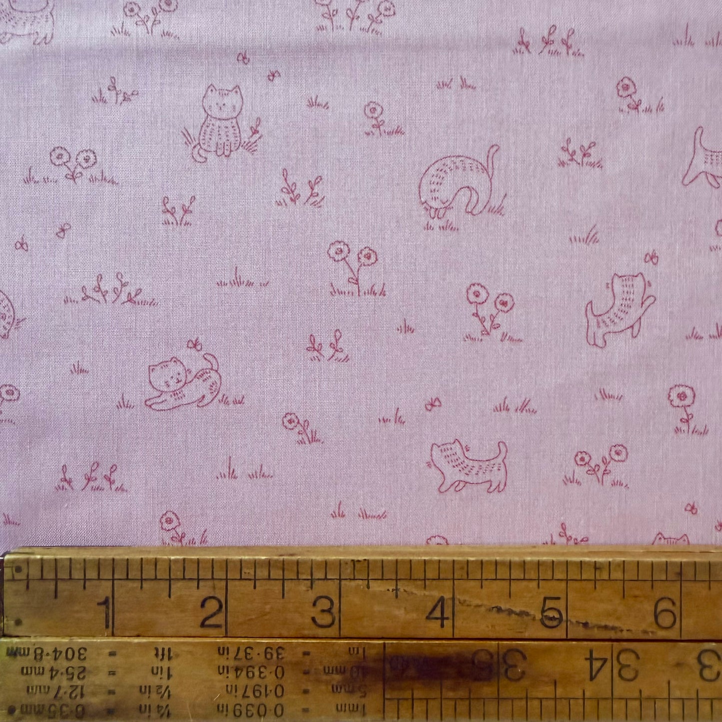 Kitten Fun - Playful Tonal in Pink