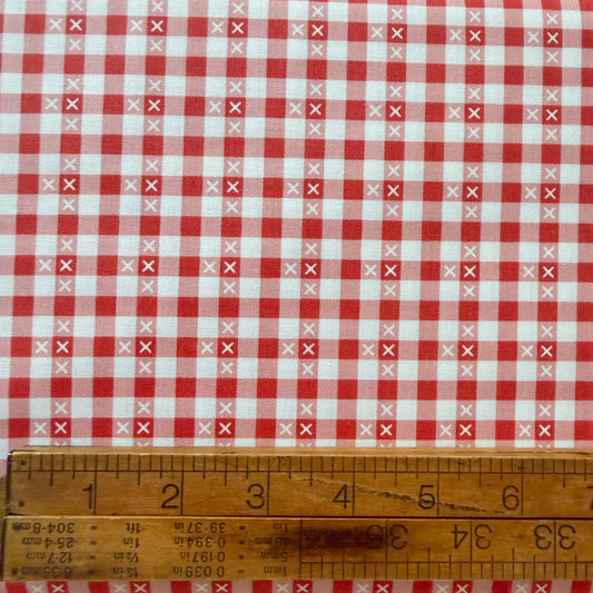 Summer Skies and Fireflies - Gingham in Tearose - Riley Blake