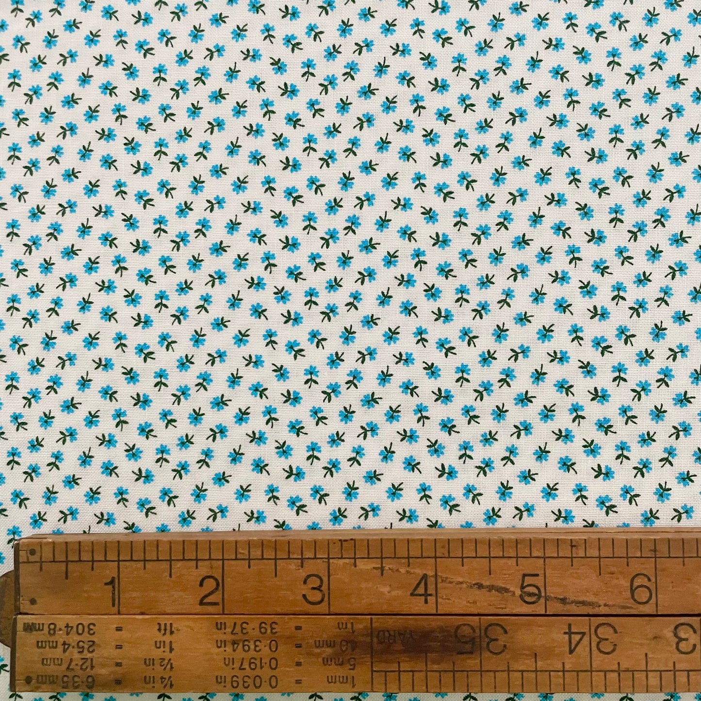 Itty Bitty Ivory- Five and Ten (Denyse Schmidt)