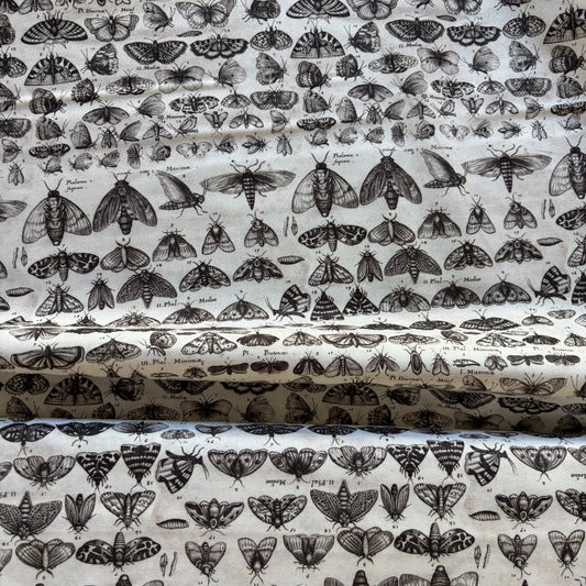 Charcoal Palette - Moth - Tim Holtz