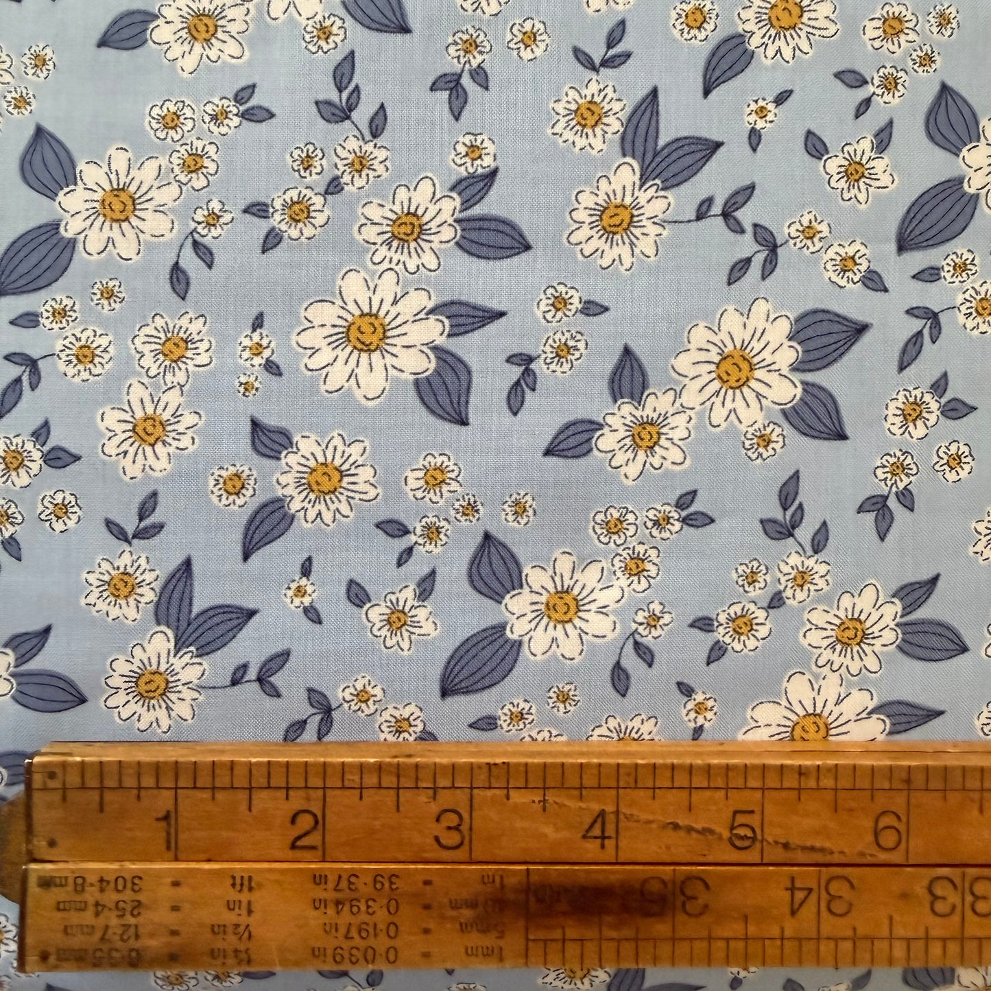 Kitten Fun - Floral in Light Denim