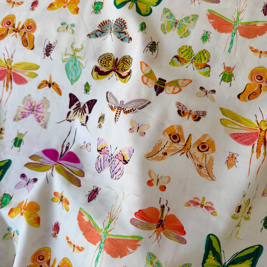 On Display in Light - Insectarium by Tamara Kate for Windham Fabrics