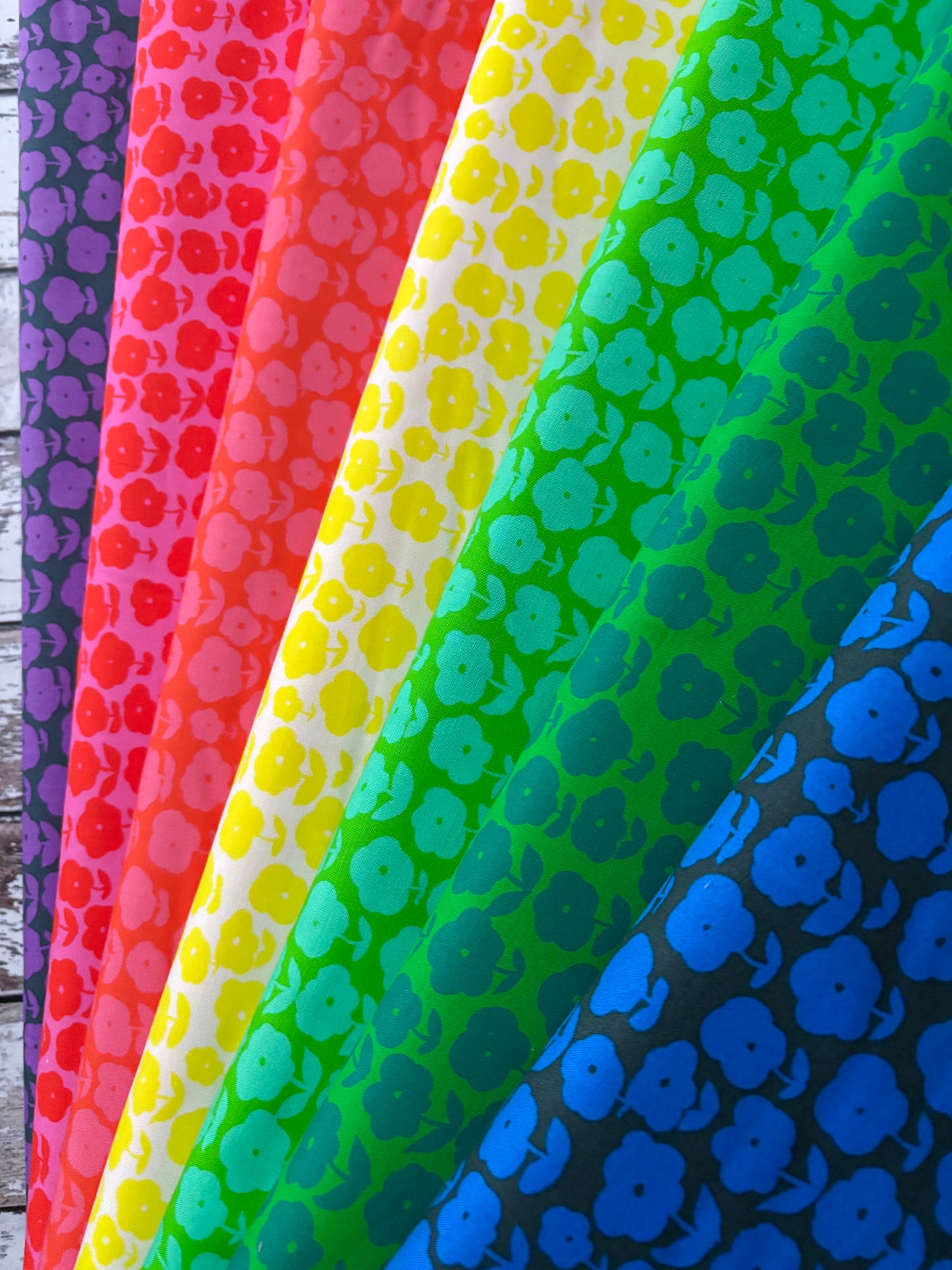 Ruby and Bee Blenders - Puffy Daisy in Salvia