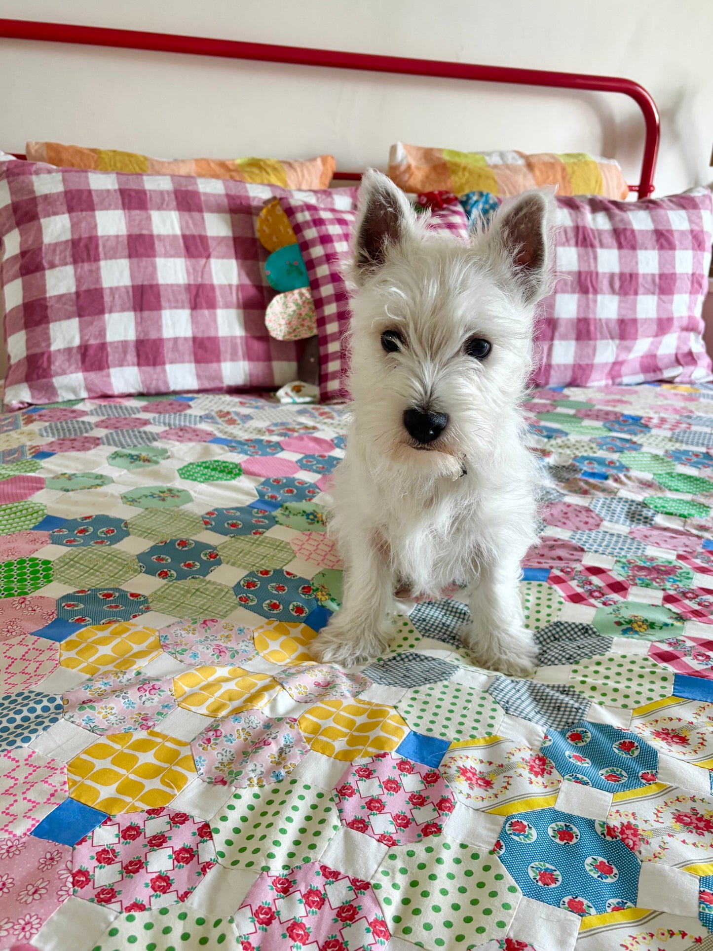 Sadie’s Quilt Pattern (A5 Hard Copy Booklet)