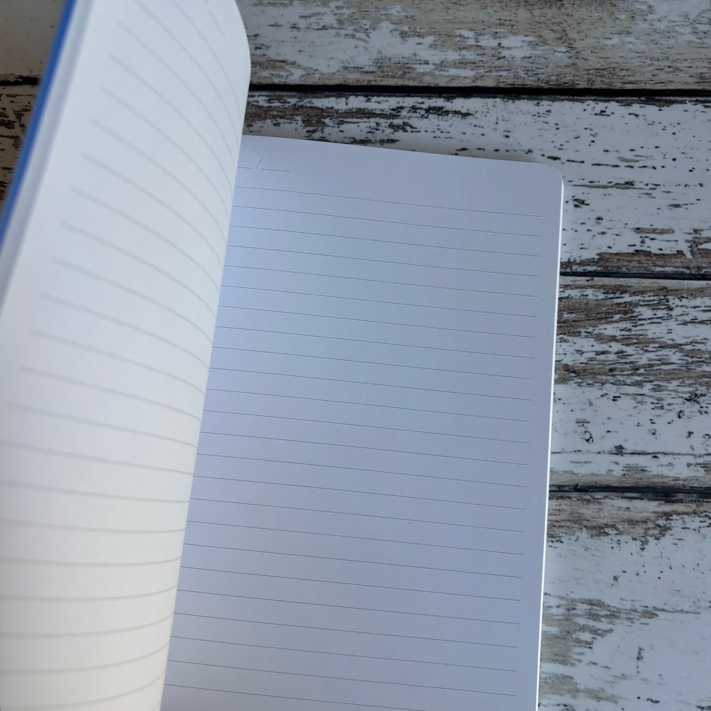 Oh Deer - Things to Over Think About Notebook