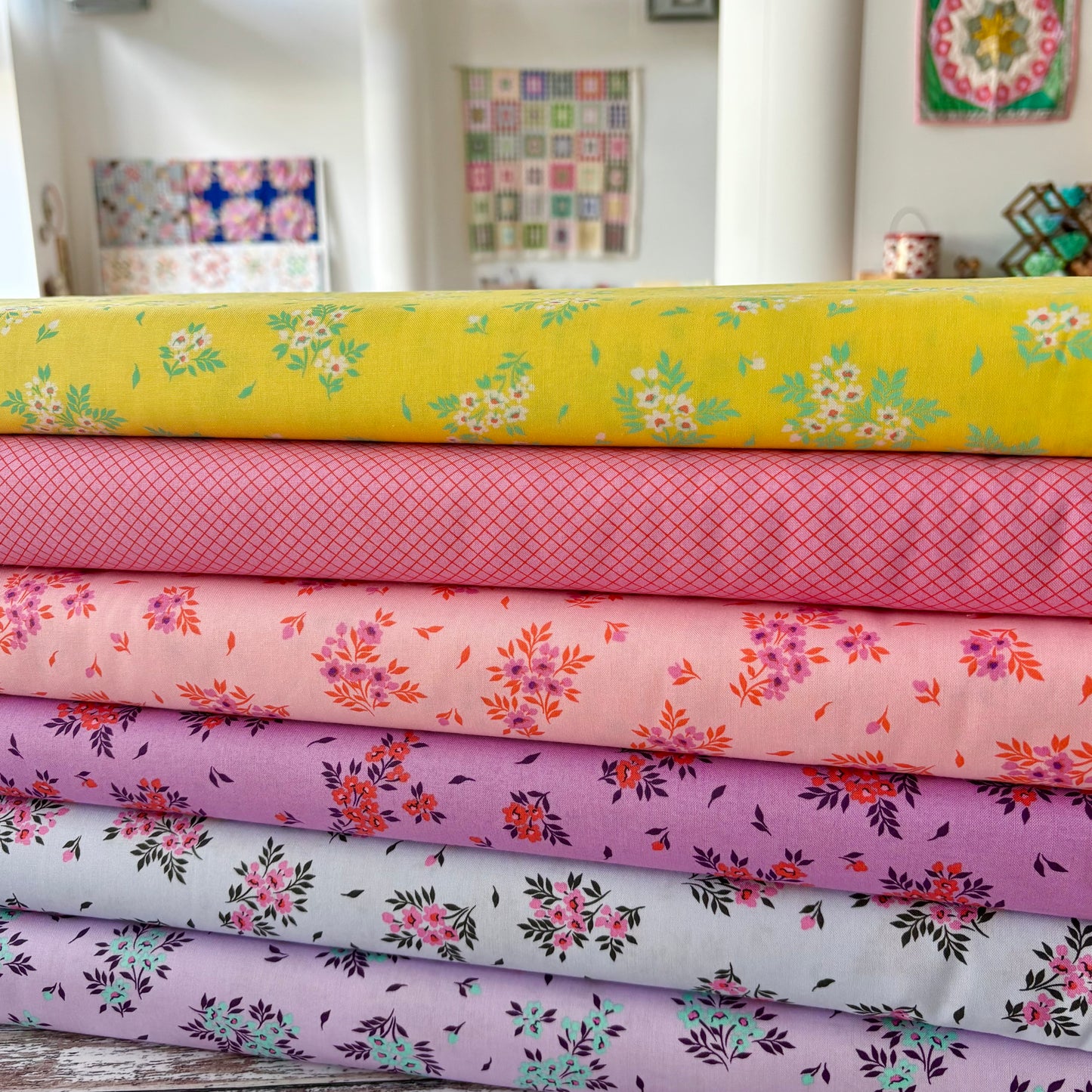 What a A Ditz - Frost - Tula Pink - 2025 True Colors