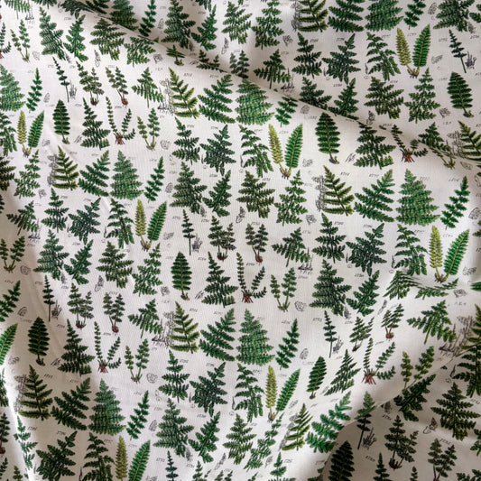 Green Palette - Ferns