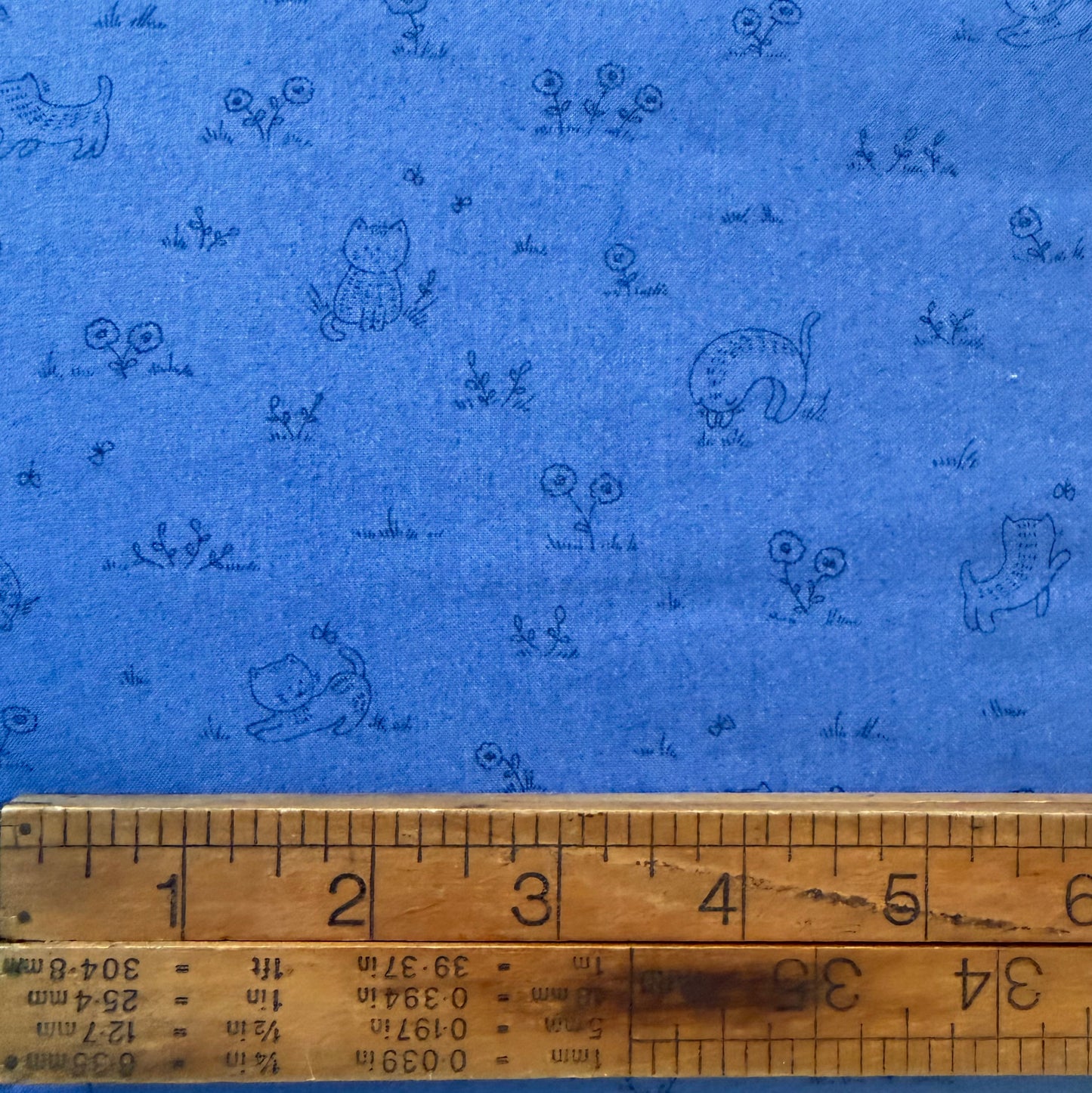 Kitten Fun - Playful Tonal in Denim