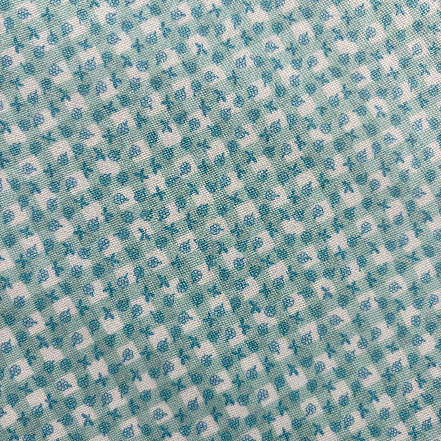 Playtime 30's Gingham Mist - Riley Blake