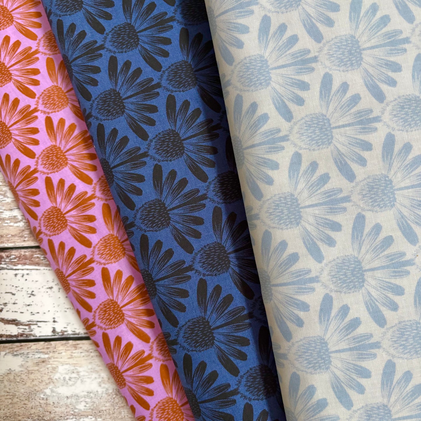 Indelible Coneflower in Taffy - Vintage