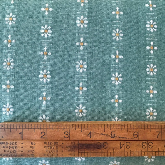 Forest Forage Daisies Spring