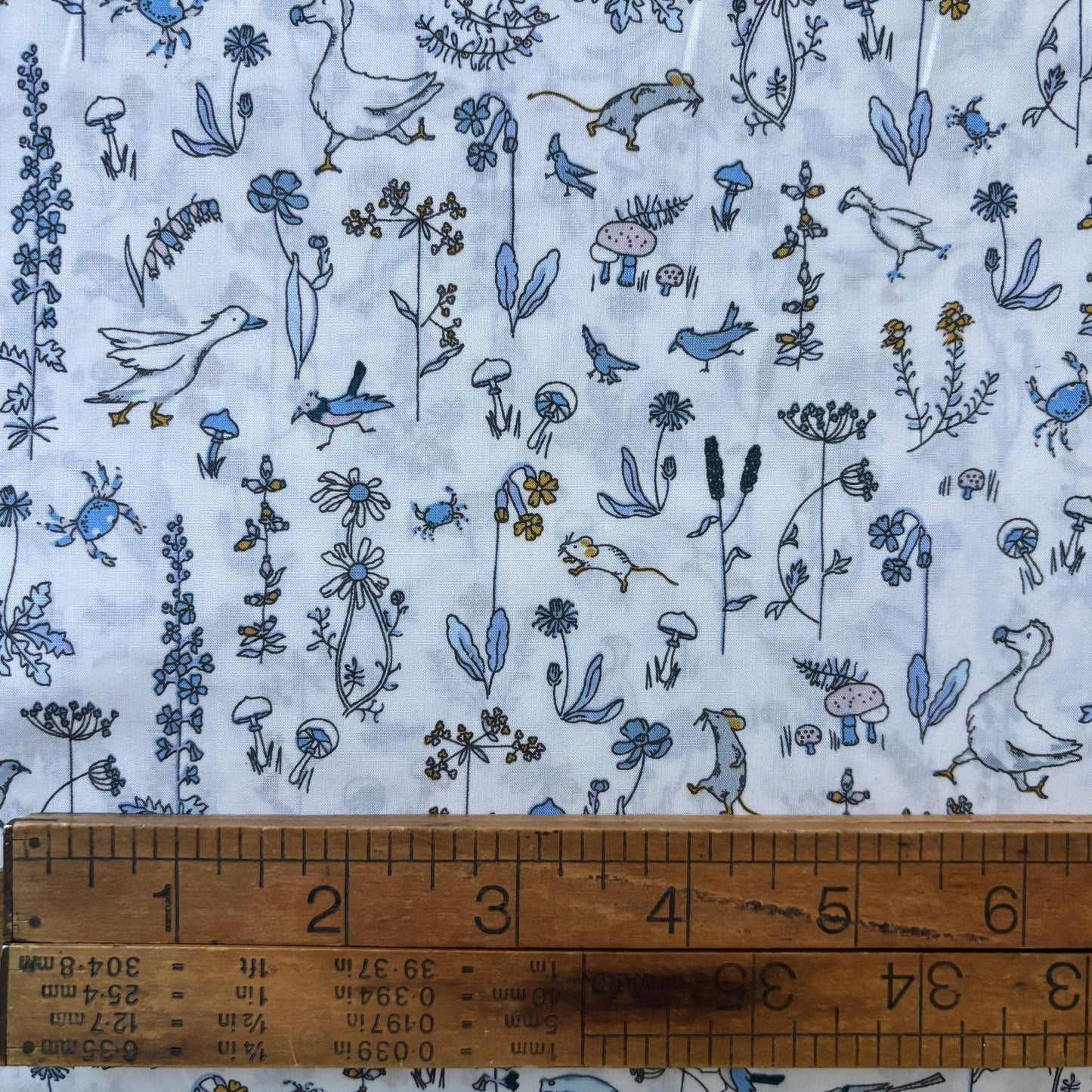 Liberty Tana Lawn - Theo F-CC