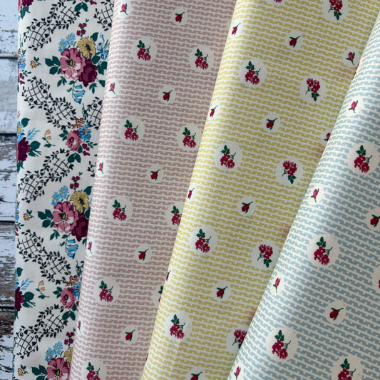 Forget Me Not Rose - Evie Blue