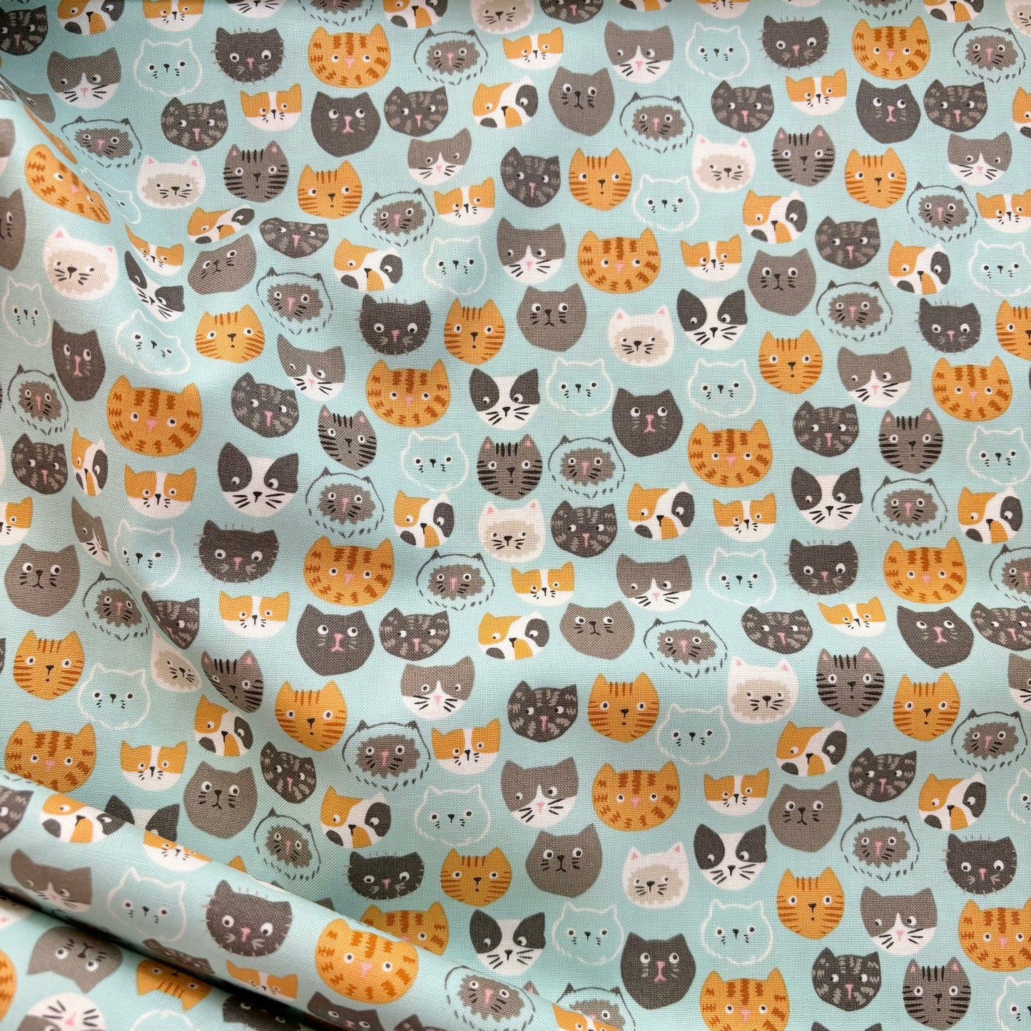 Here Kitty Kitty Aqua Here Kitty - Moda