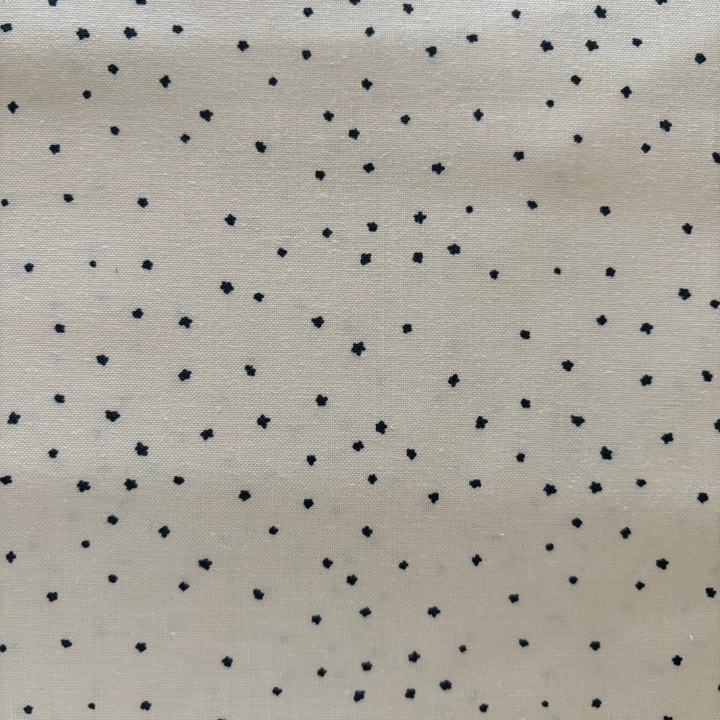 Rainier - Puddle Jumpers Dots Tiny Flowers in Eggshell - Moda