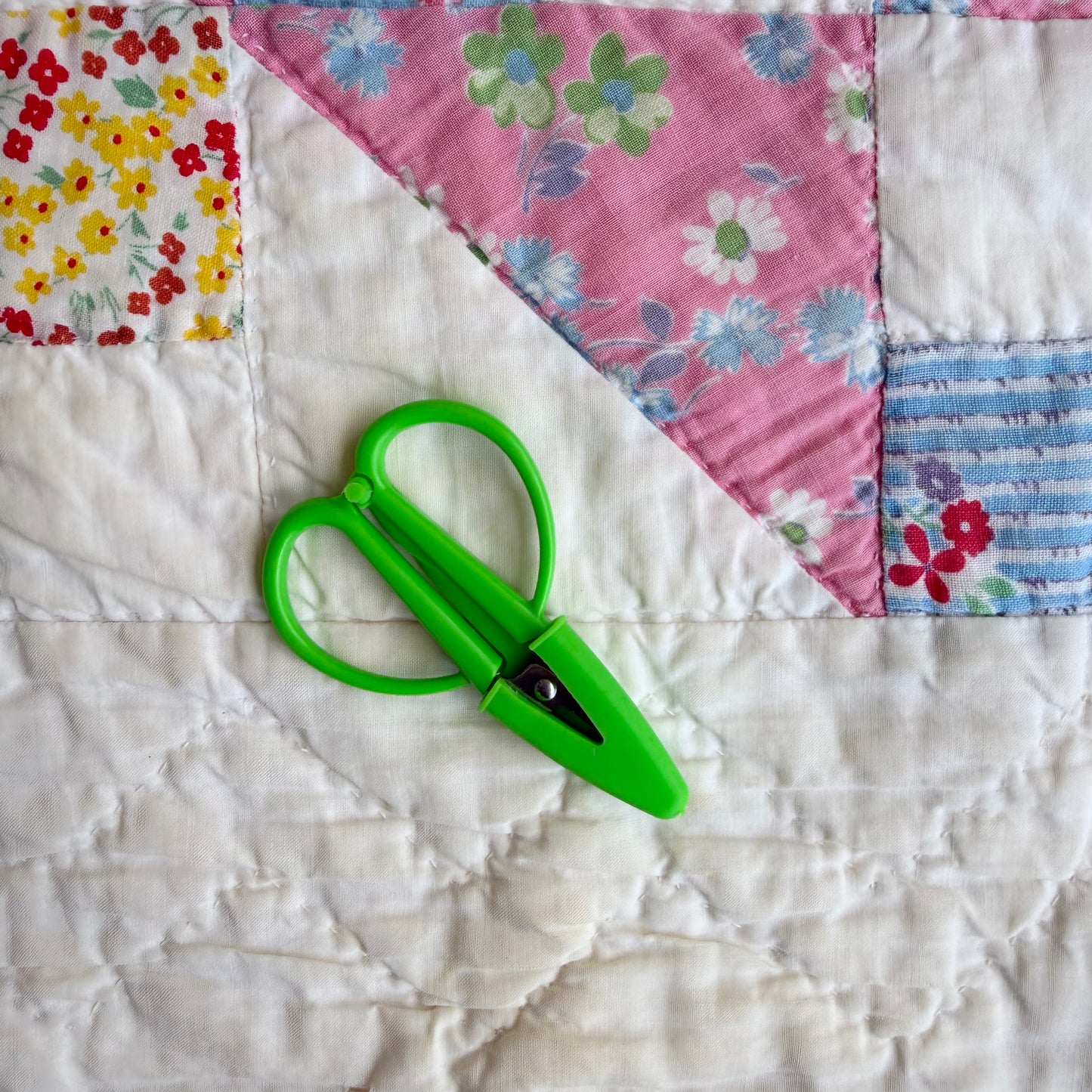 Small Travel Snips