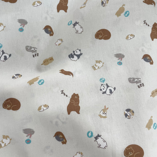 Cosmo Kids Land All the Animals (Japanese)