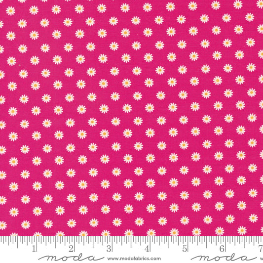 Vintage Soul Daisy Dot Hot Pink - Moda