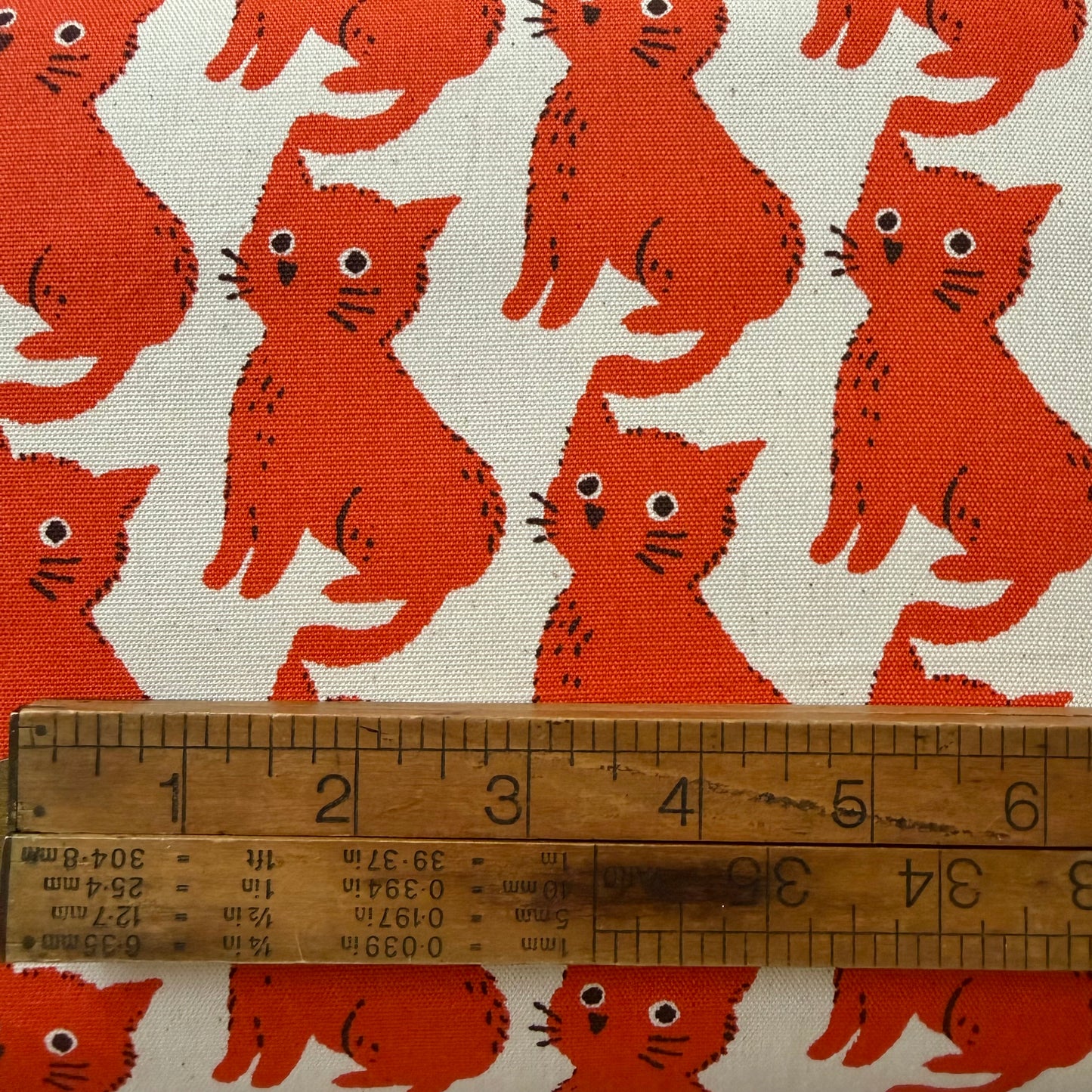 Kitty Kat in Orange  - Cotton Oxford - Sevenberry