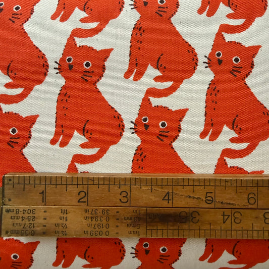 Kitty Kat in Orange  - Cotton Oxford - Sevenberry