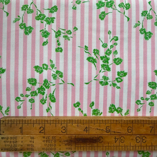 Darling Buds of May - Rosaline 1