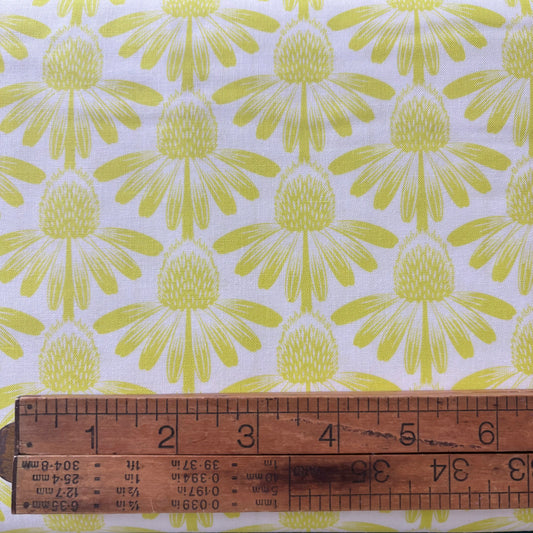 Indelible Coneflower in Sun - Soft