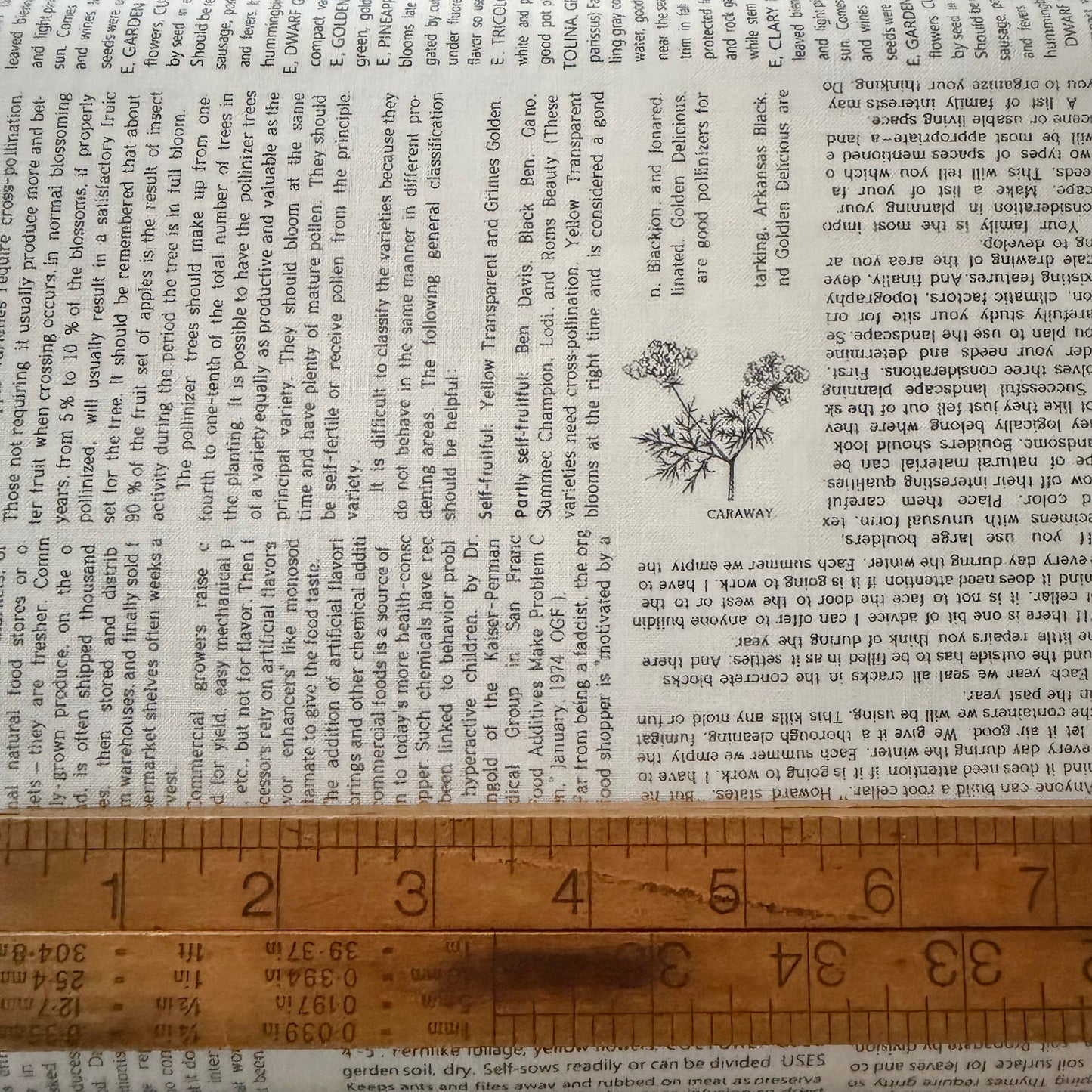 Summers End - Garden Collage Text in Cloud - Moda