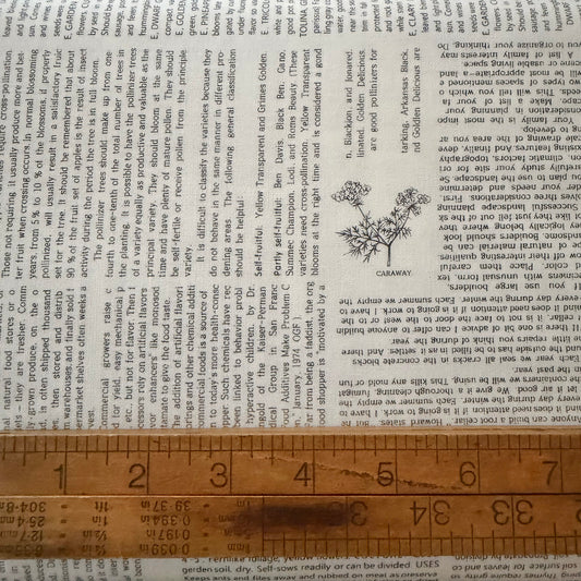 Summers End - Garden Collage Text in Cloud - Moda