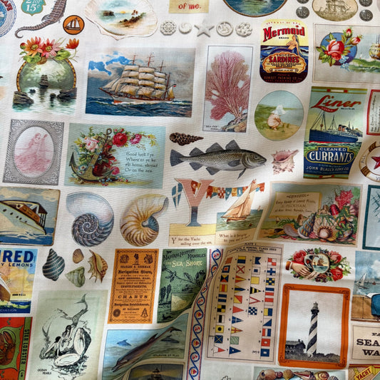 Saltwater - Cathe Holden