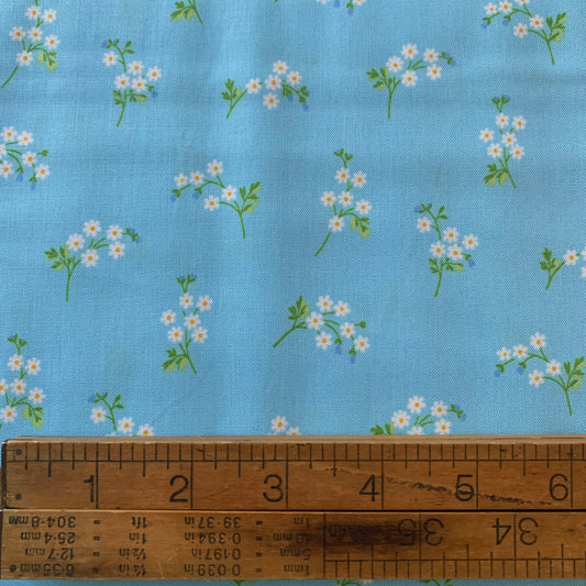 Daisy Spray in Sky - Beloved Blossom