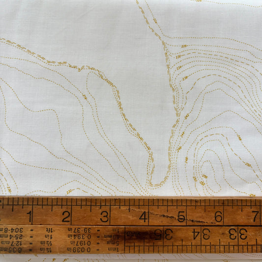 Topography in Chartreuse - Sun Print Whisperer