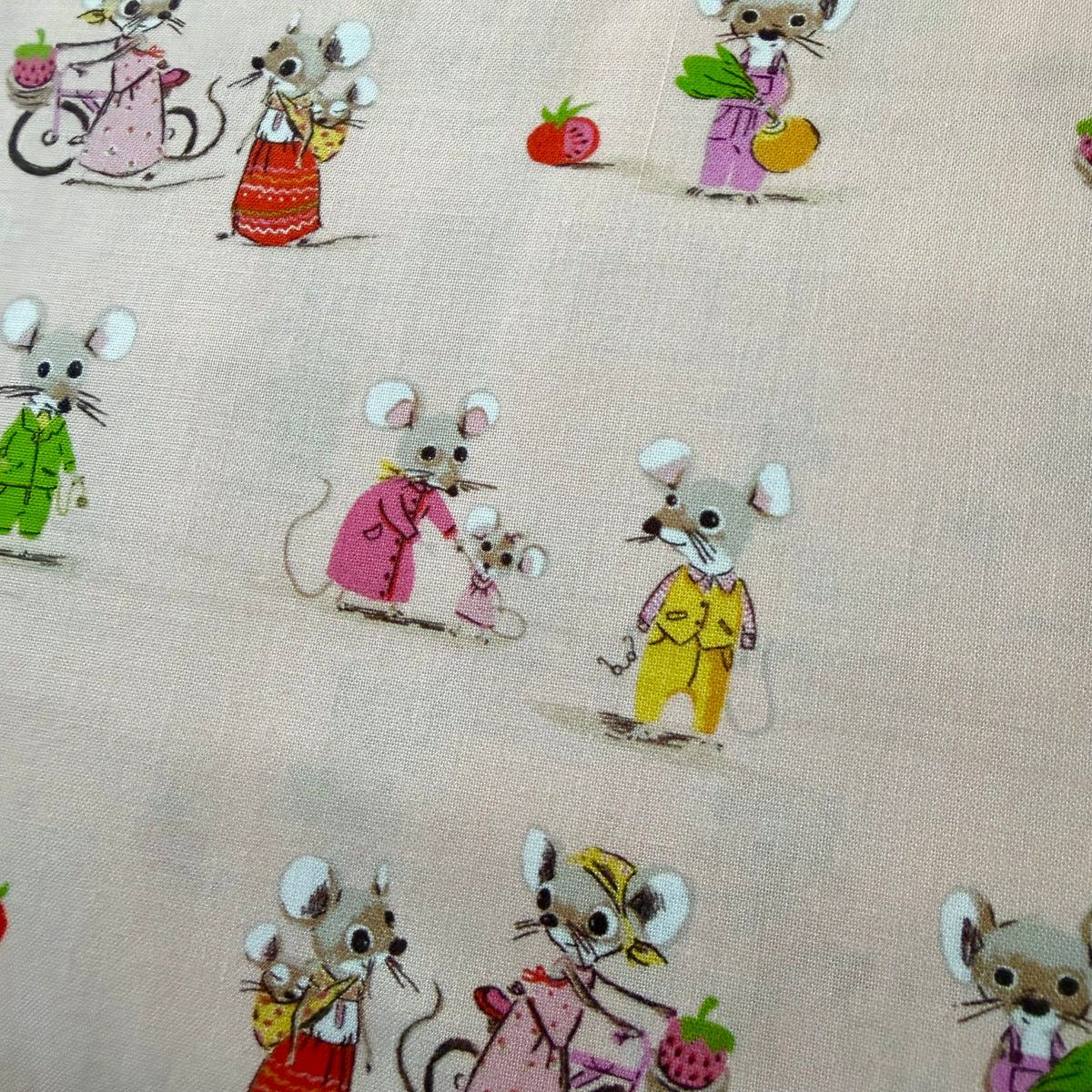 Heather Ross Favorites - Country Mose / City Mouse in Blush