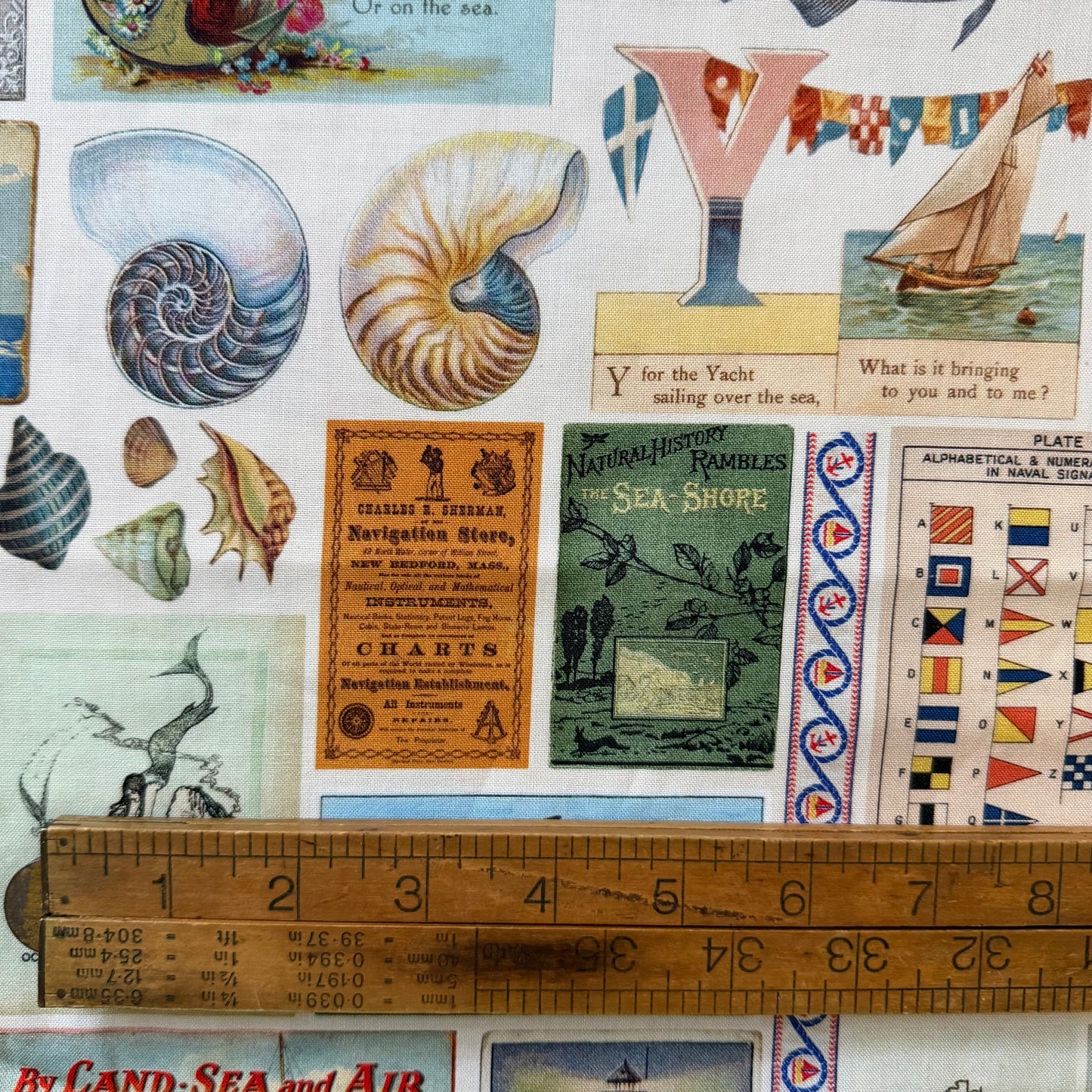 Saltwater - Cathe Holden