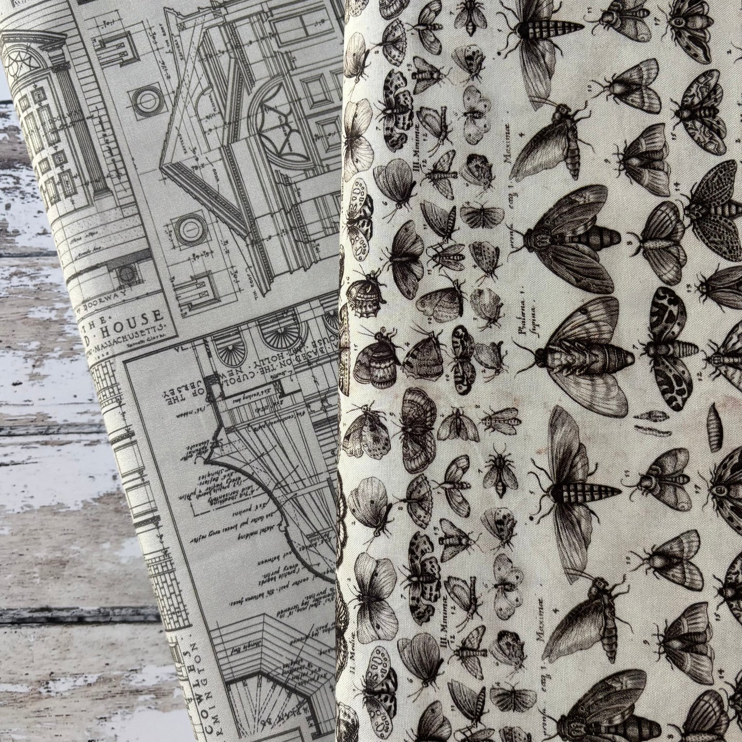 Charcoal Palette - Schematics - Tim Holtz
