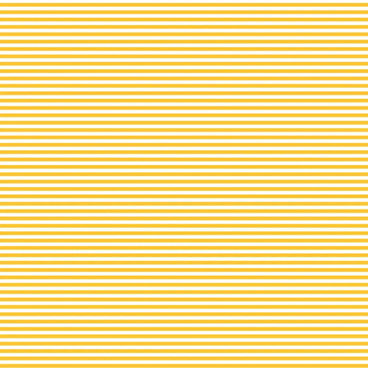 Fundamentals 1/8” Stripe - Sunnyside