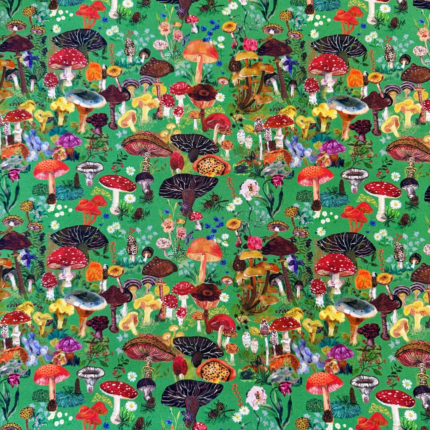 Magic Mushrooms - Pastoral Symphony