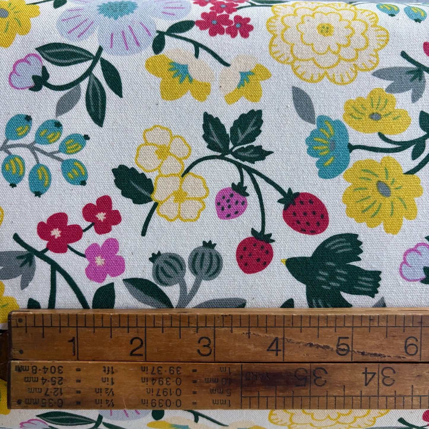 Sopo Retro Print with Strawberries