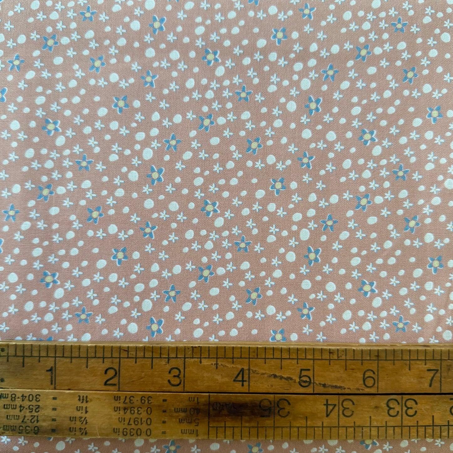 Slow and Steady - Daisy Spot in Pink